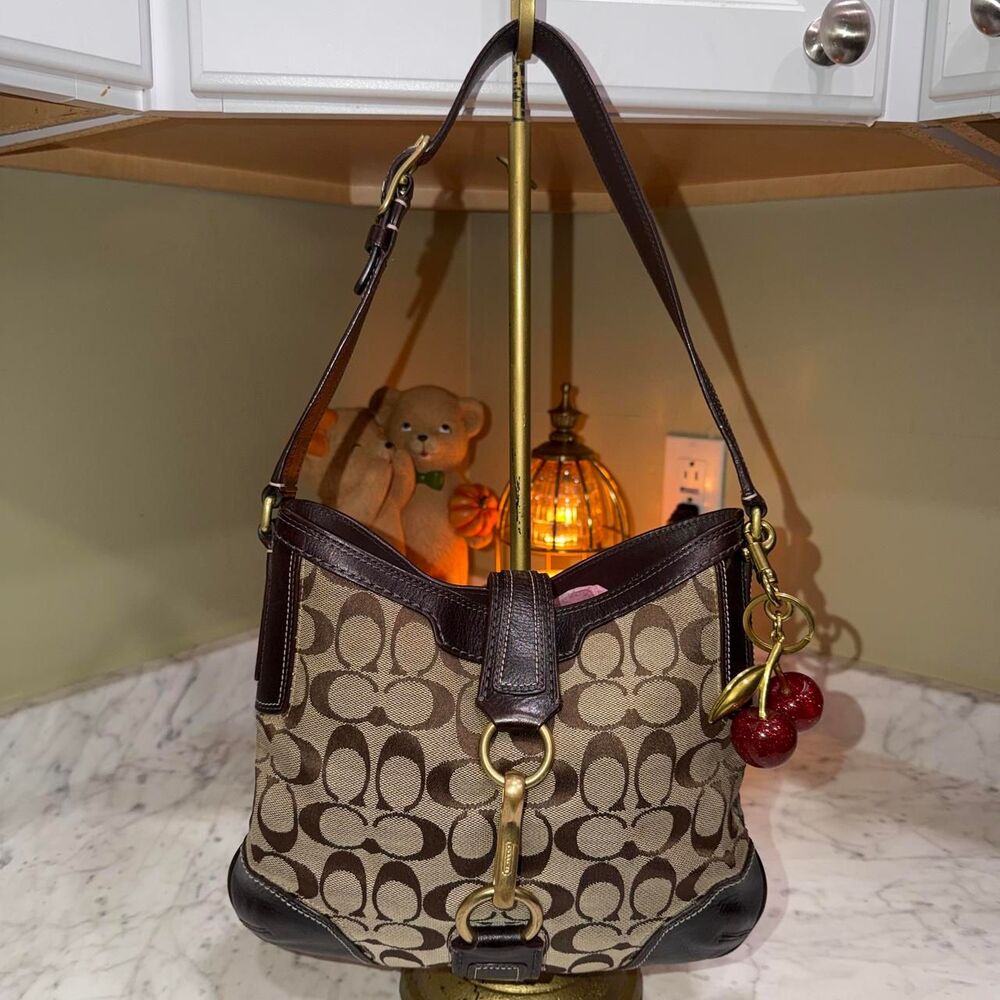 Coach Women's Brown Bag